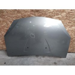 Capot Dacia Sandero 1